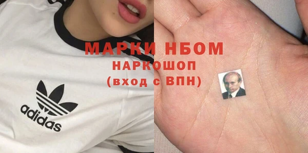 гашик Алексеевка