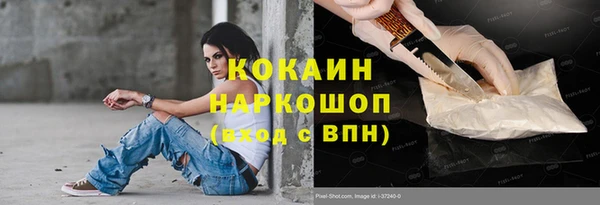 гашик Алексеевка